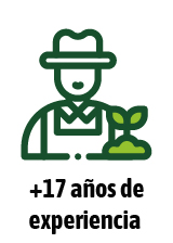 Mesa de trabajo 1-100